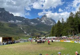 Embedded thumbnail for 17,10,26 - Passione Reines.....Le Reines saranno le protagoniste sabato 24 e domenica 25 ottobre all’Arena Croix Noire di Aosta.