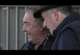 Embedded thumbnail for 19,11,24 -Aosta, Arena Croix-Noire: 76^ edizione del Mercato Concorso tori e torelli della razza Valdostana.